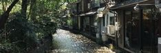 a river running through a lush green forest next to tall buildings with windows on each side