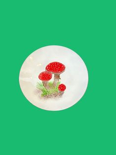 two red mushrooms sitting on top of a white plate against a green background with space for text