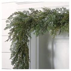 an evergreen branch hanging from the side of a white door with green leaves on it