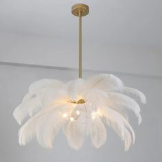 a chandelier with white feathers hanging from it's brass frame and light fixture