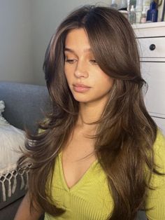 Butterfly Haircut On Brown Hair, Butterfly Haircut Long Brown Hair, Long Layered Hair Butterfly Cut, Curtain Bangs Long Hair Brunette Straight, Long Brown Haircut Layers, Hair Inspo Long Layers Curtain Bangs, 90s Brunette Blowout, Layers And Blowout, Layered Long Hair Curtain Bangs