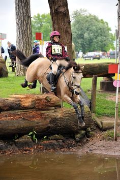 a person riding on the back of a horse over a log