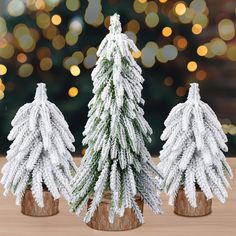 three small snow covered trees sitting on top of a wooden table next to a christmas tree