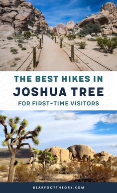 the best hikes in joshua tree for first - time visitors