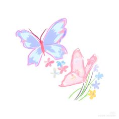 two butterflies flying next to each other on a white background