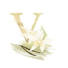 the letter v is painted with watercolors and has a white flower on it