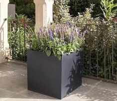 a tall planter filled with lots of purple flowers