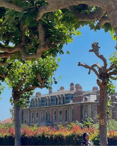 a large building behind some trees and bushes