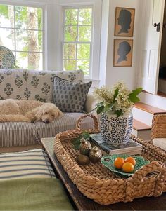 a dog laying on top of a couch in a living room next to a window