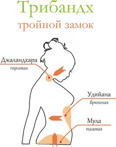 the anatomy of the female body in english and russian language, with labels on each side