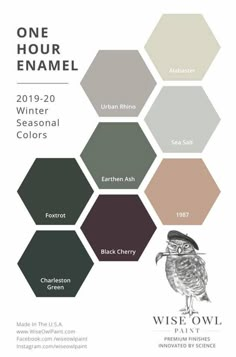 the color scheme for an owl themed paint palette