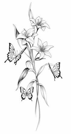 a drawing of flowers and butterflies on a white background