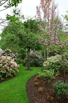 a lush green garden with pink and white flowers on the tree's branches, in front of some trees