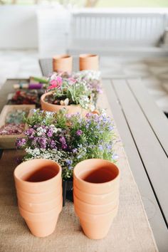 there are many potted plants on the table