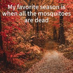 a path in the middle of a forest with leaves all over it and a quote about my favorite season is when all the mosquitoes are dead