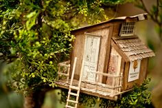 a small wooden house sitting on top of a tree next to a green leafy bush