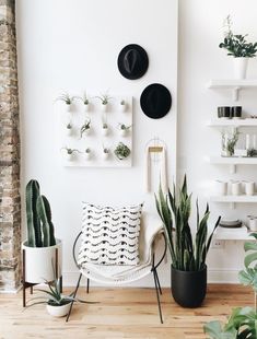 a living room filled with lots of plants next to a wall mounted planter on the wall