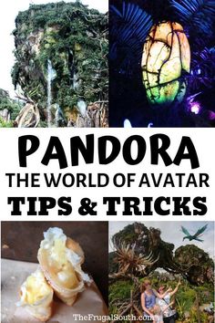 the words pandara, the world of avatar tips and tricks in front of images of trees