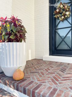 a potted plant sitting on top of a brick step next to a door way