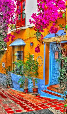 an image of a colorful house with flowers on it