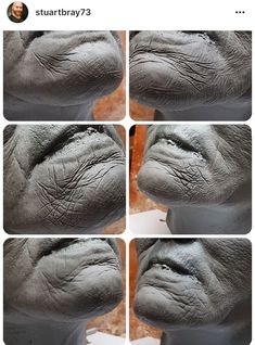 four different angles of an animal's nose with multiple facial expressions, including the upper lip and lower lip area