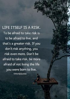 a man sitting on top of a tree with a quote about life itself is a risk