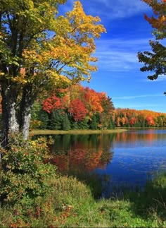 a lake surrounded by lots of trees with fall foliage on it's sides and blue sky in the background