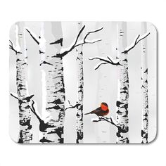 a bird sitting on top of a tree branch in front of white birch trees with red breast