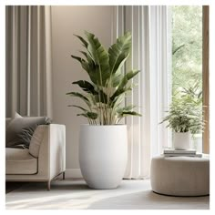 a large potted plant sitting on top of a white table next to a couch