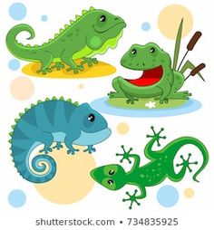 four different types of lizards and alligators on a white background with blue polka dots