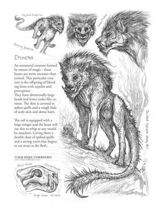 an open book with drawings of different animals and words on the page, including two wolfs