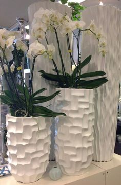 two white vases with flowers in them sitting on a shelf next to each other