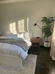 a white bed sitting next to a tall plant in a bedroom on top of a hard wood floor