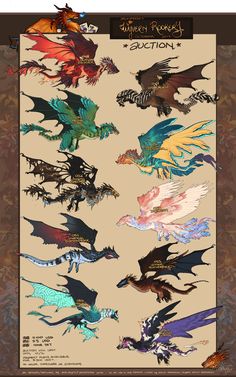 an image of different types of dragon wings