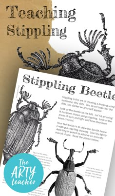 the arty teacher's guide to teaching stipling beetles