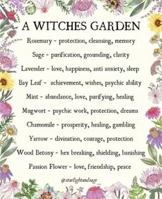 Wicca Herbs Charts, Herbs And Witchcraft, Spells For Plant Growth, Dried Flowers Witchcraft Meaning, Garden Magic Aesthetic, Herbs For Strength Spell, Witchy Garden Plants, Witchy Herbs To Grow, Herbs Meaning Witchcraft