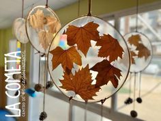 three autumn leaves are hanging from the ceiling in front of a window with glass panes