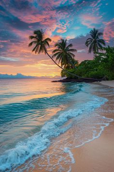 a beach with palm trees and waves coming in from the ocean at sunset or dawn