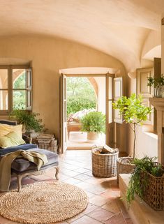 a living room filled with furniture and lots of plants on top of the fireplace mantel