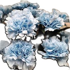 four blue and white carnations are arranged in a circle