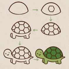 How to draw a turtle