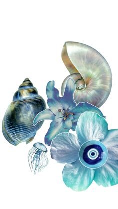 an assortment of seashells and flowers on a white background, including one blue flower