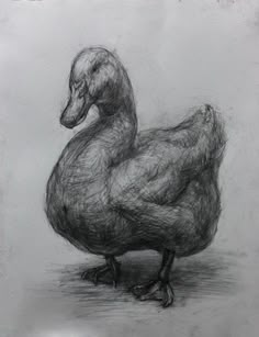 a drawing of a duck sitting on the ground