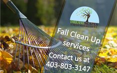 a sign that says fall clean up services contact us at 408 - 803 - 517