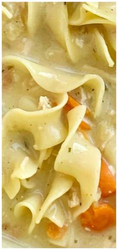 a close up view of pasta and carrots in a creamy broth with cheese