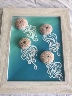 three sea urchins are in a shadow box