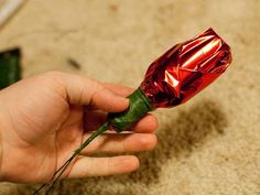 a person is holding a wrapped rose in their hand