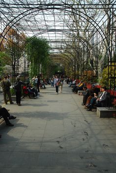 many people are sitting on benches and walking through an open area with lots of trees