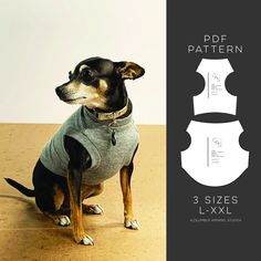 a small dog wearing a gray shirt and sitting on top of a wooden table next to a cut out pattern