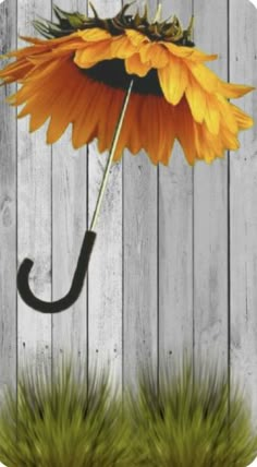 an orange flower with a black umbrella sticking out of it's center on top of grass